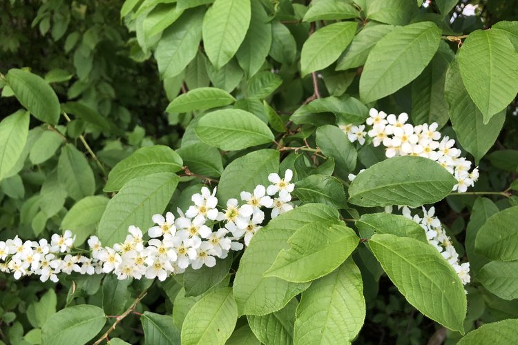 Stavanger: Sommargudstjänst och friluftsevenemang Stavanger: Sommargudstjänst och friluftsevenemang