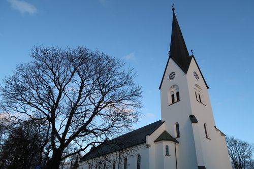 Hamar domkirke Hamar domkirke