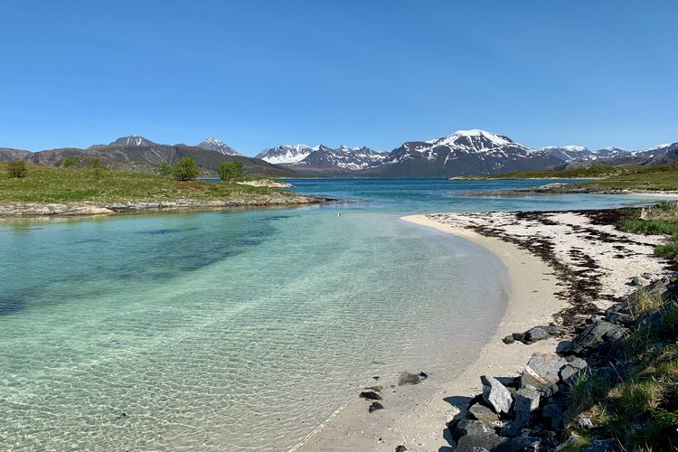 Landskapet med strandutsikt på Sommerøya nära Tromsö. I bakgrund norska fjäll med snö.