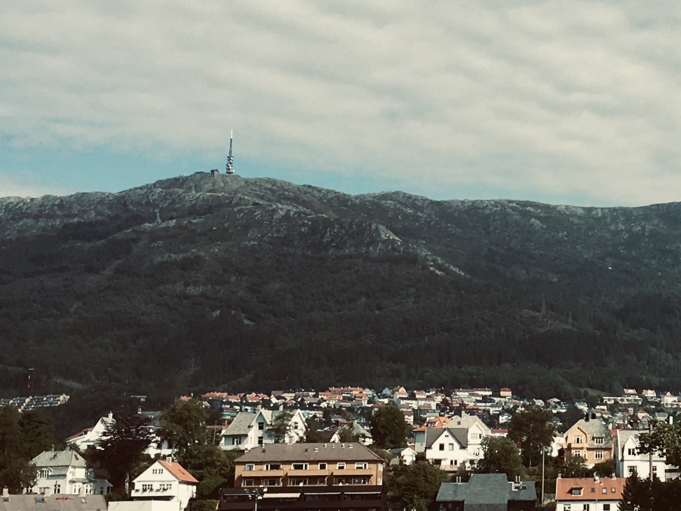 Berget Ulriken, med barrträd som växer på sina branta sluttningar. En telekommunikationsmast på toppen av berget, stadens hus kan ses nedan.