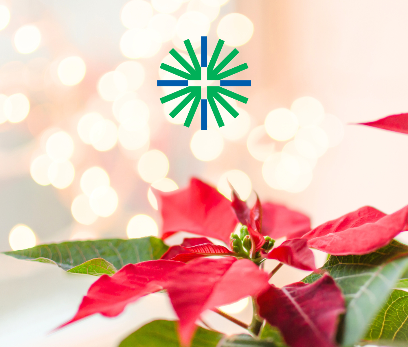 Julstjärna med församlingens logo.