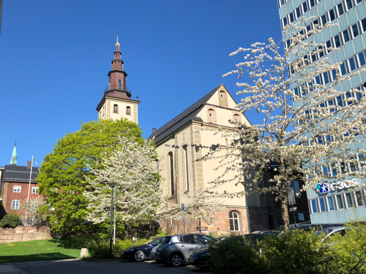 Margaretakyrkan i Oslo på våren. Klar himmel och blomstrande körsbärsträd.